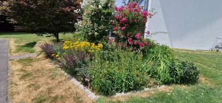 Pflanzen Winterthur - Impressionen unserer Arbeit