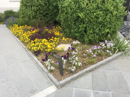 Pflanzen Winterthur - Impressionen unserer Arbeit