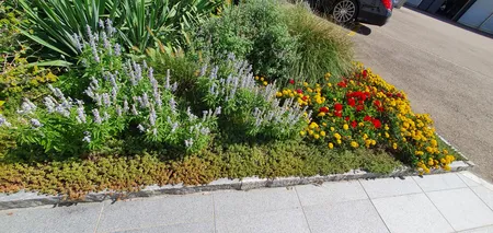 Pflanzen Winterthur - Impressionen unserer Arbeit