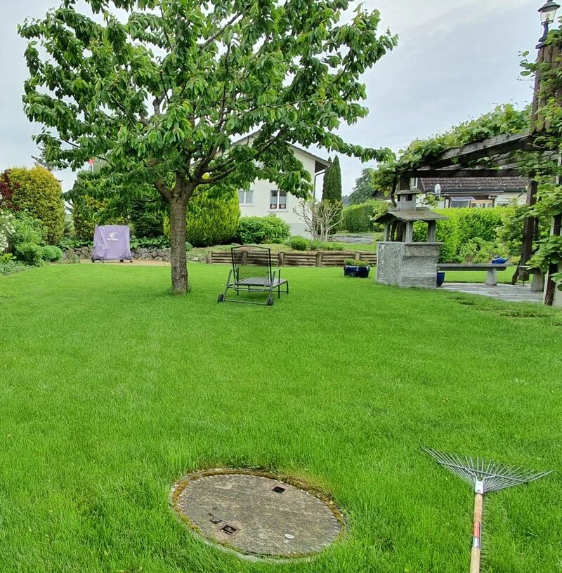 Pflanzen Winterthur - Ihr Garten-Experte